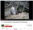 fU6ziRnTCM.jpg
