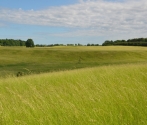 Dzień Dziecka, 6.06.2016, klasy IV-VI