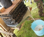 Święto Jabłka 2016, fot M. Bielatko (20).JPG