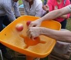 Święto Jabłka 2016, fot M. Bielatko (29).JPG