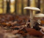 1. Dziś w Parku fot. MB  (10).jpg