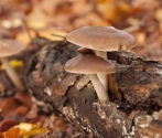 1. Dziś w Parku fot. MB  (9).jpg