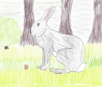 Autor: Roksana z SP Drawno