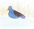 Autor: Marta z SP Drawno