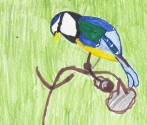 Autor: Celina z SP Drawno