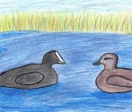 Autor: Maja z SP Drawno