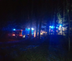 Pożar lasu w DPN-  3.04.2019  fot. M. Bielatko (4).jpg