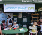 Dzien Dziecka Barnimie 02.06.2019, fot. J. Osińska (23).jpg
