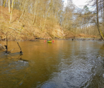 Drawa, 8-9.04.2020, fot. M. Bielatko (14).jpg