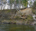 Drawa, 8-9.04.2020, fot. M. Bielatko (7).jpg