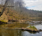 Drawa, 8-9.04.2020, fot. M. Bielatko (12).jpg