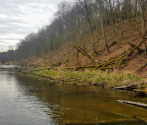 Drawa, 8-9.04.2020, fot. M. Bielatko (13).jpg
