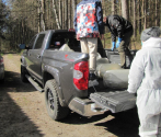 10. załaunek  do samochodu transportowego.JPG