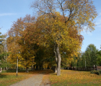 Jesień w DPN, fot. T. Bogucki (10).JPG