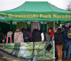 Stoisko DPN, fot. Ewa Wnuk Gławdel