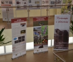 Wystawa znajduje się obecnie w holu biblioteki głównej ZUT w Szczecinie