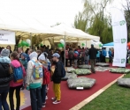 Międzynarodowy Dzień Ziemi- Warszawa 2016