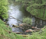 Drawieński Park Narodowy