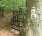 Drawieński Park Narodowy
