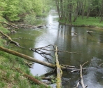 Drawieński Park Narodowy