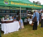 Dzień Dziecka w Barnimiu 2016