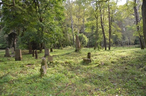 Widok na cmentarz od strony zachodniej